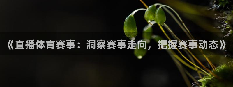 《直播体育赛事：洞察赛事走向，把握赛事动