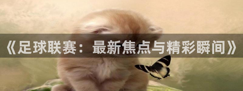 《足球联赛：最新焦点与精彩瞬间》
