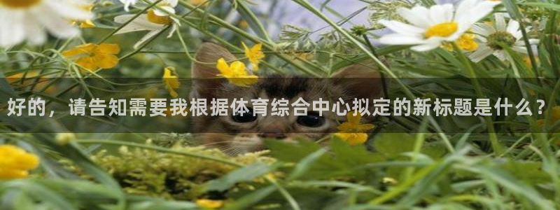 好的，请告知需要我根据体育综合中心拟定的